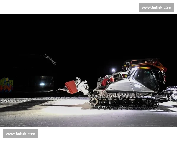 滑雪新星横空出世冬日赛场燃爆激情书写青春逐梦传奇引领冰雪新时代