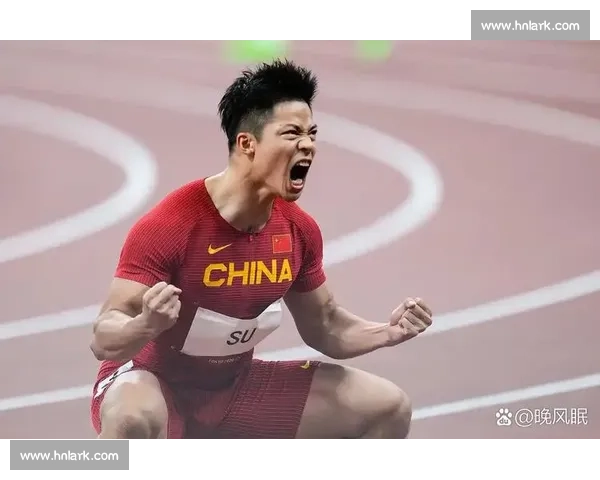 奥运会金牌背后的荣耀与奋斗故事全景解析